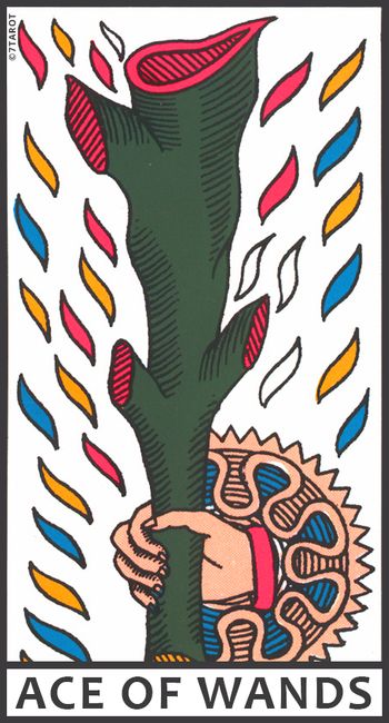 Ace of Wands